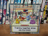 CUSTOMIZABLE PokeCenter Anniversary / Valentine's Day Box