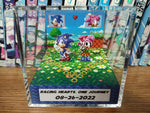 Sonic Amy Anniversary