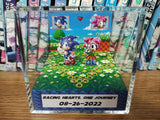 Sonic Amy Anniversary