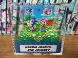 Sonic Amy Anniversary