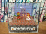 CUSTOMIZABLE Mario and Peach - Anniversary Box