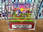 Sonic Amy Anniversary
