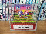 Sonic Amy Anniversary