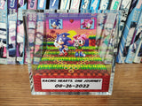 Sonic Amy Anniversary