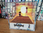 CUSTOMIZABLE Kingdom Hearts Sora and Kairi