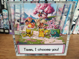 CUSTOMIZE MY TEAM - I Choose You Box (Pick ANY 6)