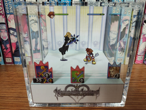 Kingdom Hearts CoM Sora Vs Vexen - Pixel Package