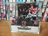 Kingdom Hearts CoM Sora Vs Marluxia Specter